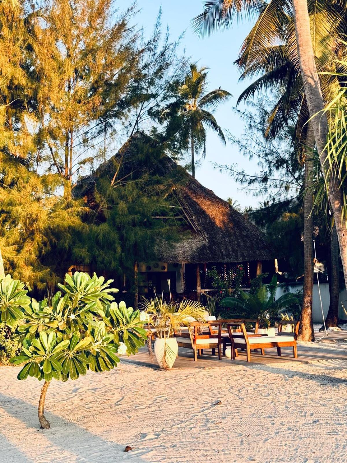 Bahati Sunset Bungalows Michamvi ภายนอก รูปภาพ