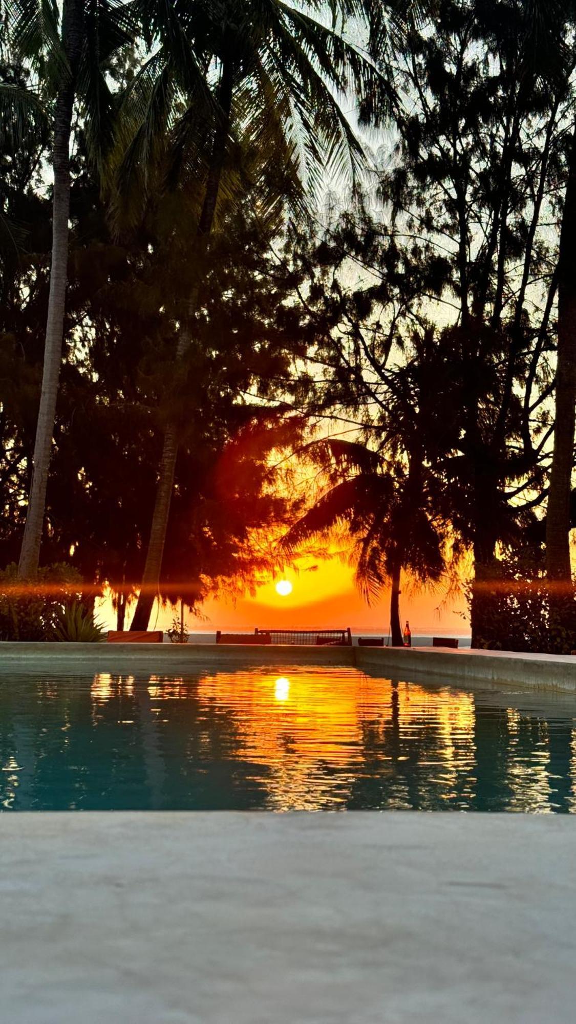 Bahati Sunset Bungalows Michamvi ภายนอก รูปภาพ