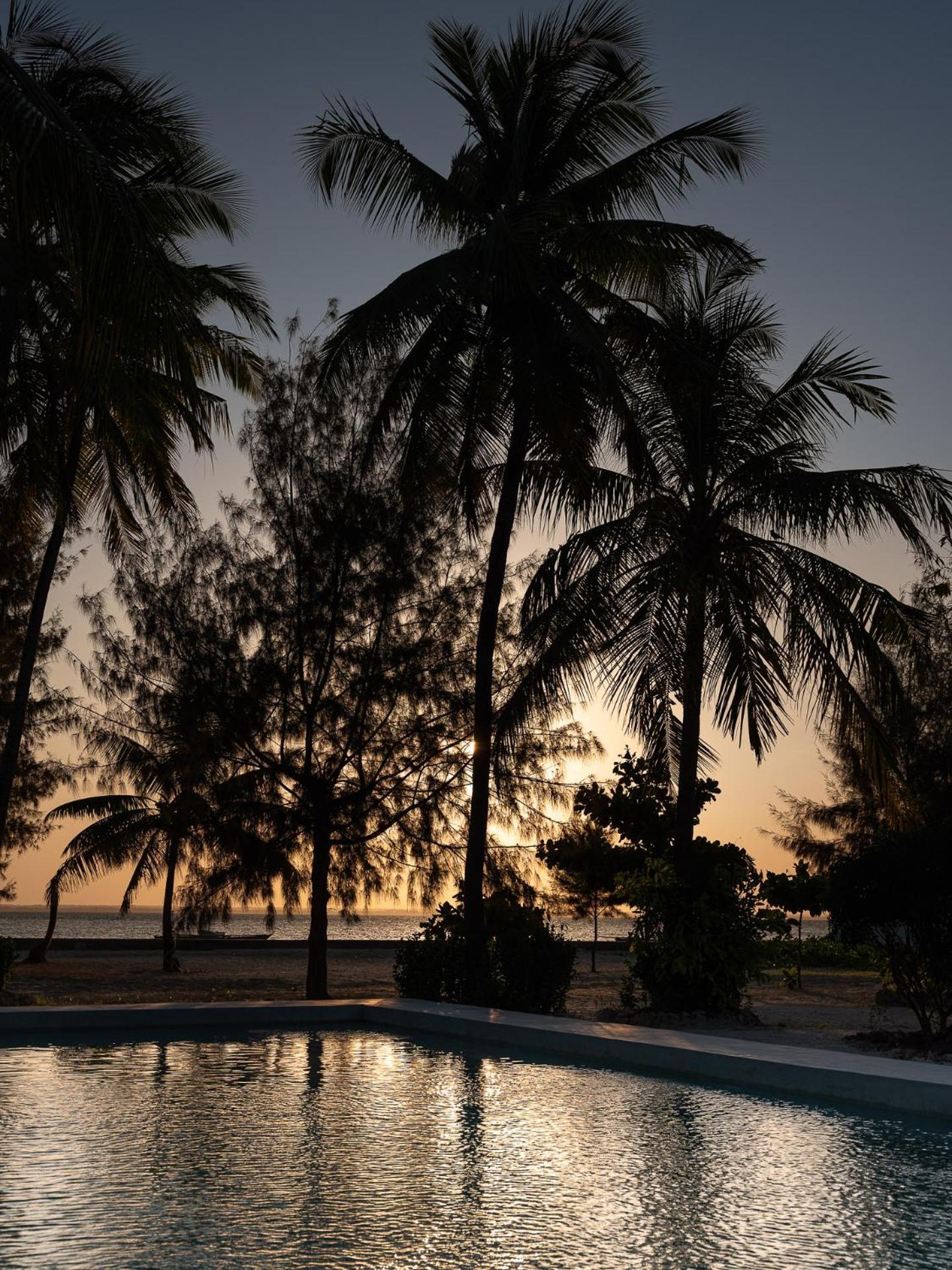 Bahati Sunset Bungalows Michamvi ภายนอก รูปภาพ